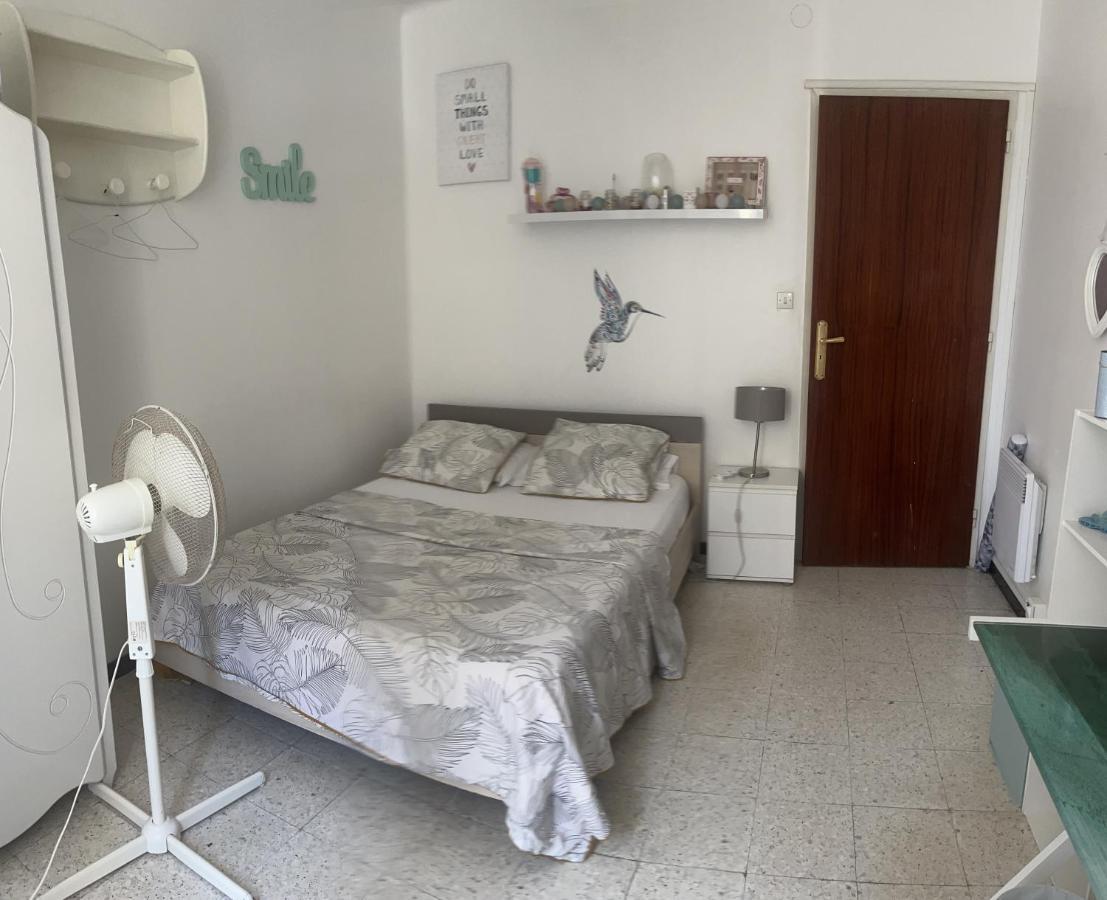 Pozzo Di Borgooo Apartment อฌักซิโอ้ ภายนอก รูปภาพ