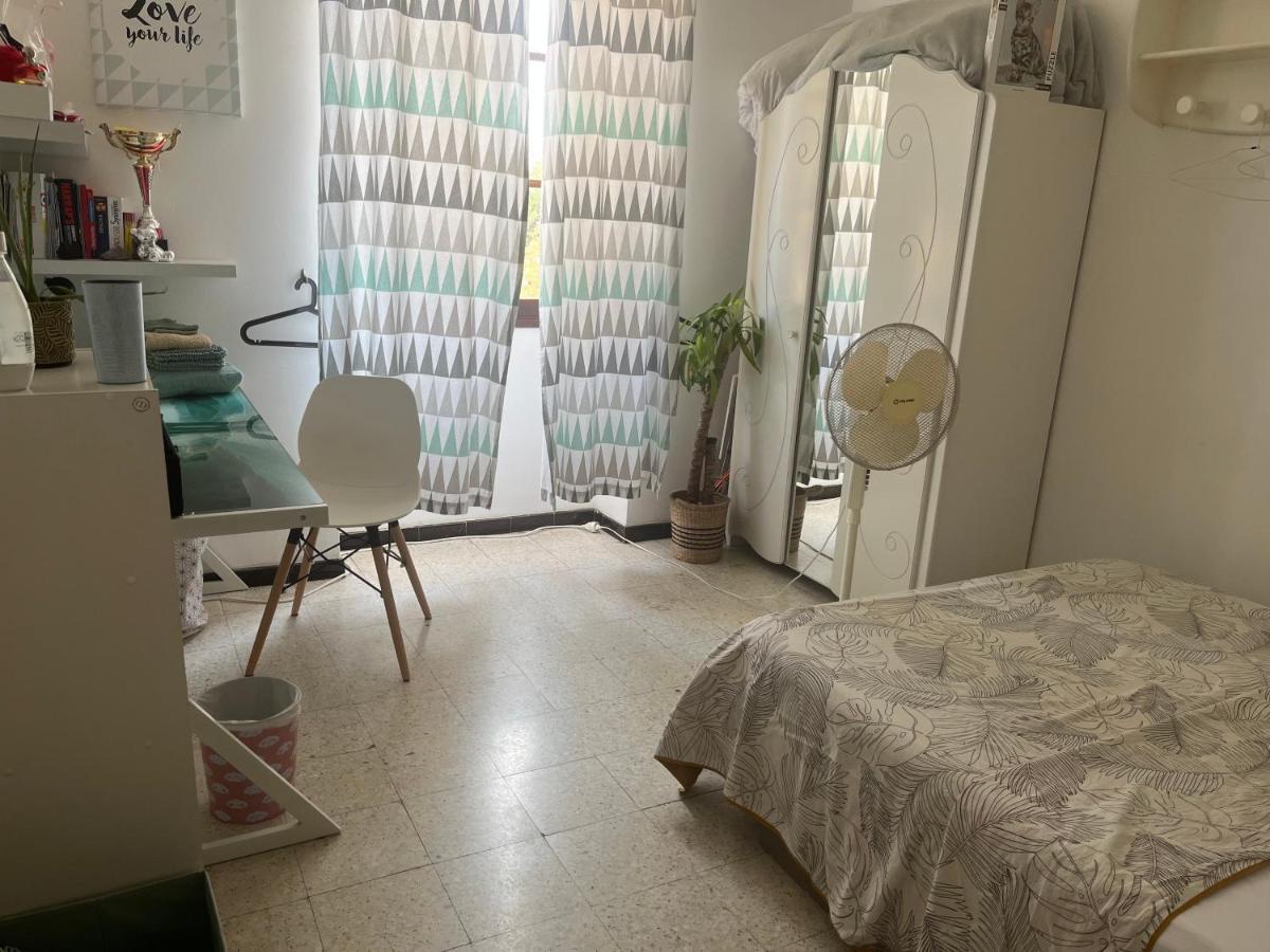 Pozzo Di Borgooo Apartment อฌักซิโอ้ ภายนอก รูปภาพ
